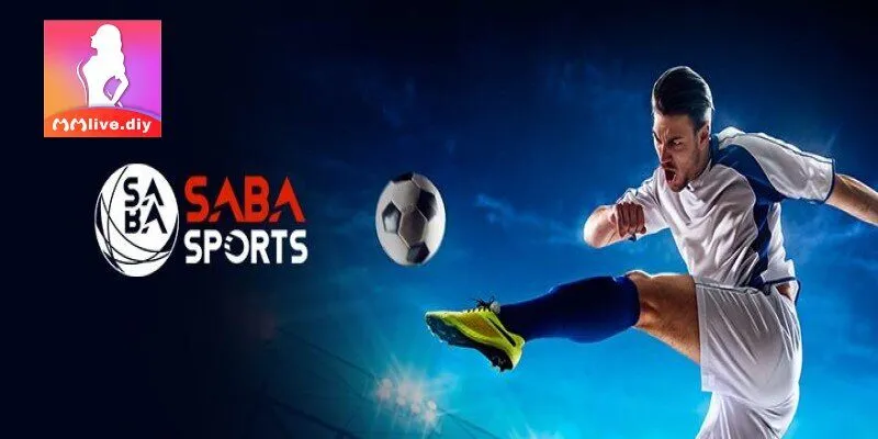 Những điểm mạnh ghi điểm của MMLive